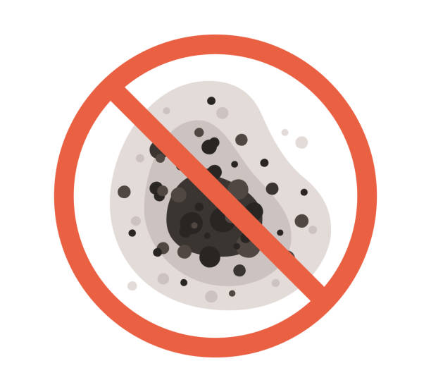 Best Indoor Air Quality Assessment  in Dover, FL
